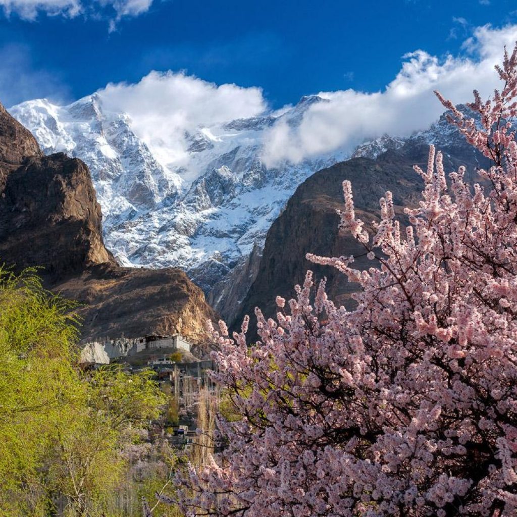 Tour 2024: Blossoms of Hunza: A Springtime Expedition through Pakistan's Majestic North