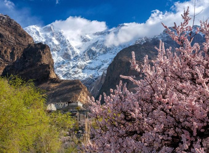 Tour 2024: Blossoms of Hunza: A Springtime Expedition through Pakistan’s Majestic North